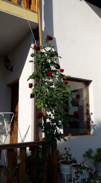 Guest House Nash Dom Kawarna Zewnętrze zdjęcie